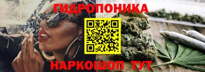 трава Кохма