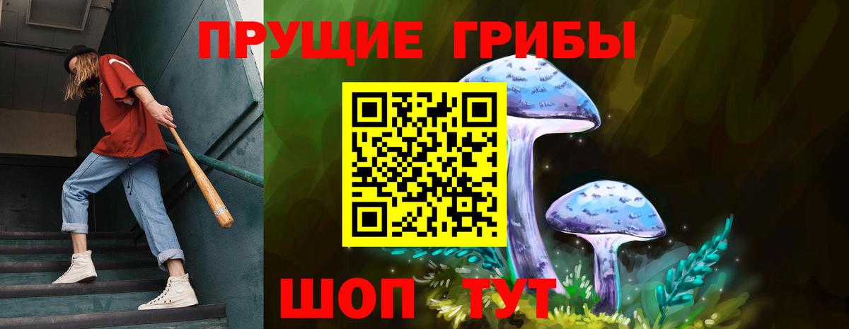 Галлюциногенные грибы Cubensis Алексин